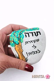 אבני  תודה והערכה