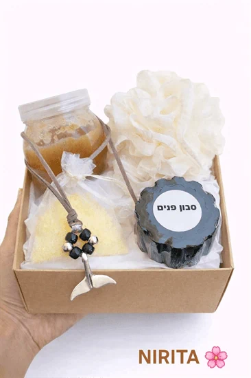 מארז סנפיר עם מתלה לרכב